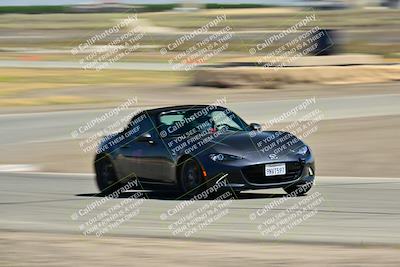 media/May-24-2025-Turn8 Trackdays (Sat) [[034586b55d]]/4 Inter 2/Session 2 (Cotton Corners-Grapevine)/